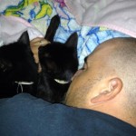 1383556_553771618022825_874508748_n